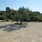 Olivia Tatil Evi