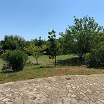 Olivia * 特里卡塞