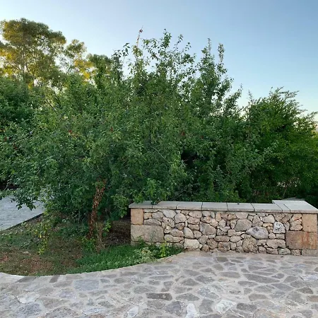 Hébergement de vacances Olivia Tricase