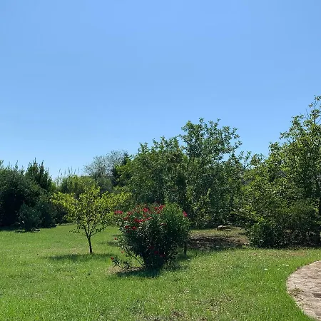 Hébergement de vacances Olivia *