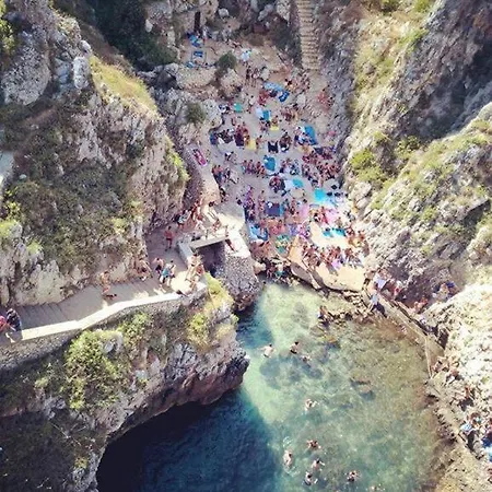 Hébergement de vacances Olivia *