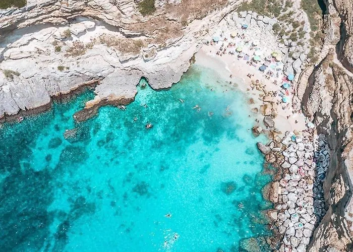 Olivia Триказе