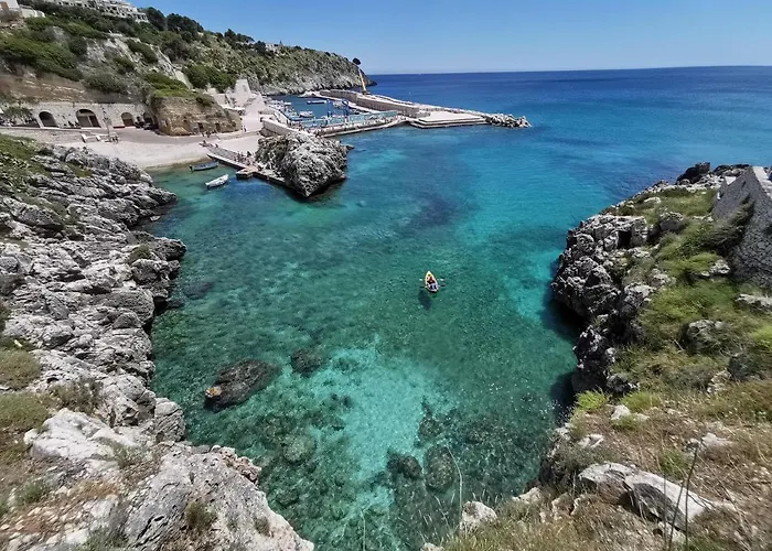 Olivia Триказе