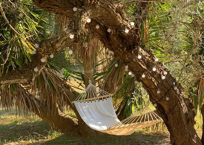 Olivia Дом отдыха